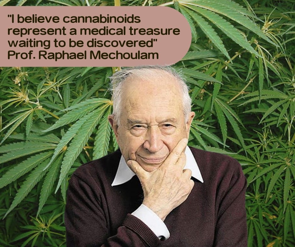 CBD CBG Mechoulem Chanvre Cannabinoids quotes