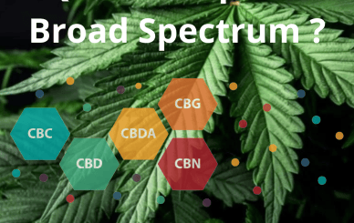 CBD Broad Spectrum CBD Large spectre