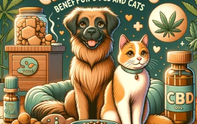 CBD pour les Animaux - Bienfaits pour Chiens et Chats