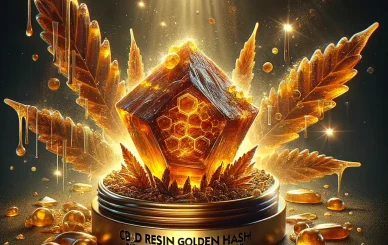 Résine CBD Golden Hash
